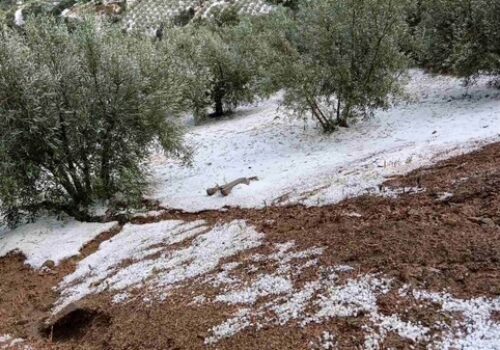 Χρ. Σταϊκούρας: Έκτακτη σύσκεψη αύριο και επίσκεψη στις πληγείσες περιοχές | 24.7.2026