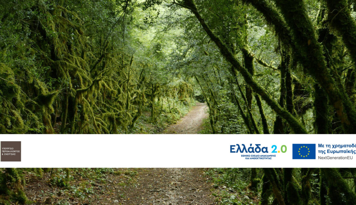 Δήμος Λαμιέων: Τοπικό Δίκτυο Μονοπατιών, Διαδρομών Πεζοπορίας και Ποδηλασίας (ΤΑΑ)